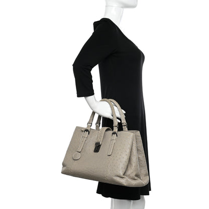 Bottega Veneta Ostrich Medium Roma Tote 3 of 11