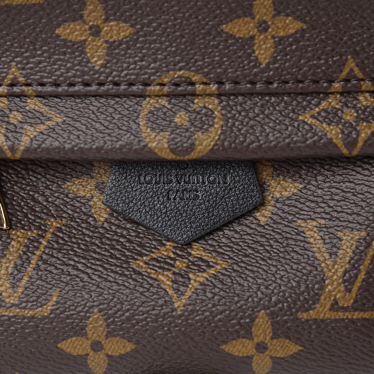 Monogram Palm Springs Backpack Mini