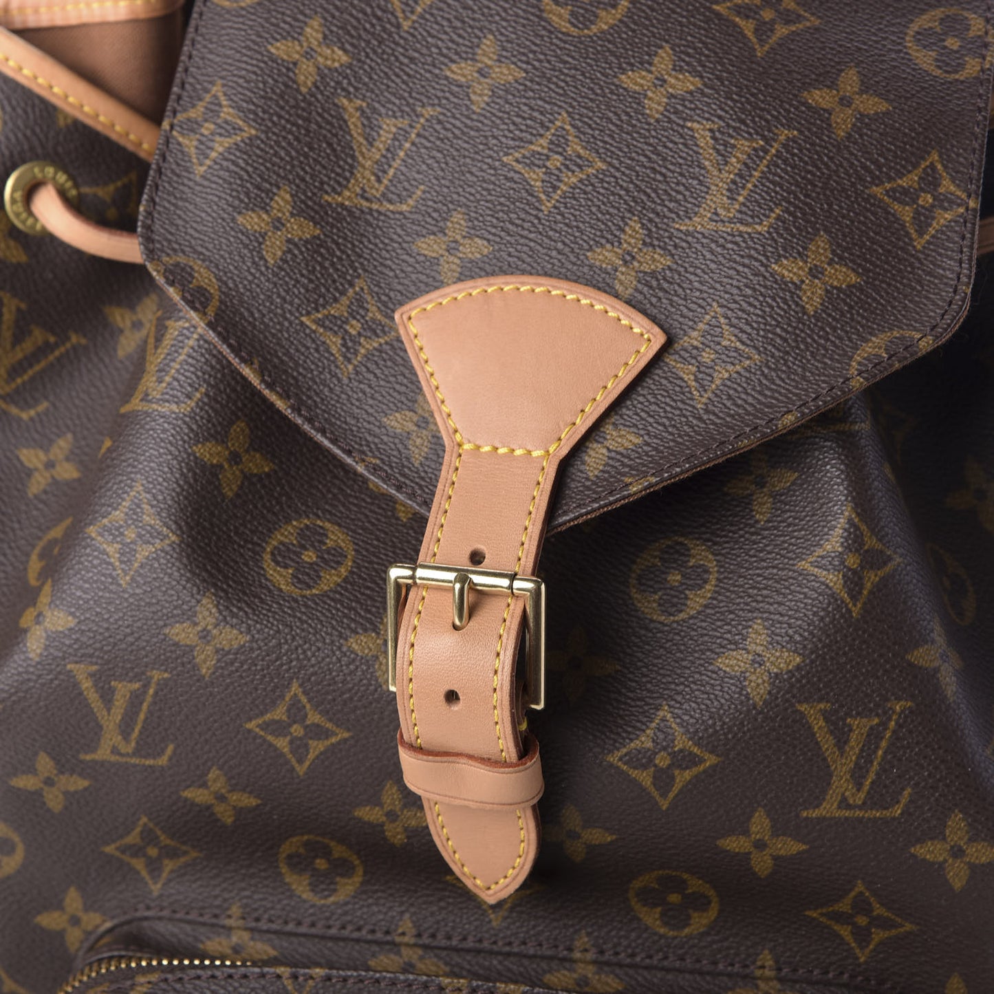Monogram Montsouris GM Backpack