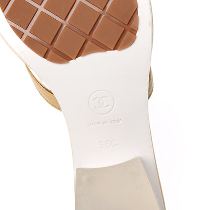 Chanel Lambskin PVC Mule 36 Transparent Beige 7 of 8
