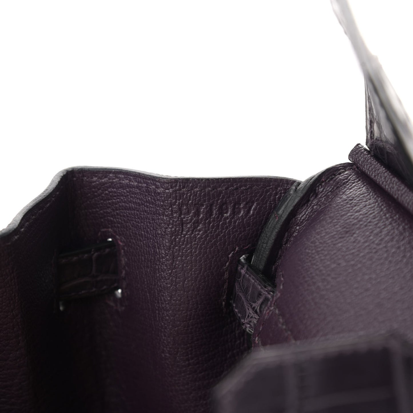 Togo Matte Alligator Birkin Touch 25 Raisin
