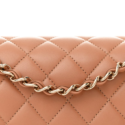 Chanel Lambskin Quilted Medium Double Flap Brown 8 of 11