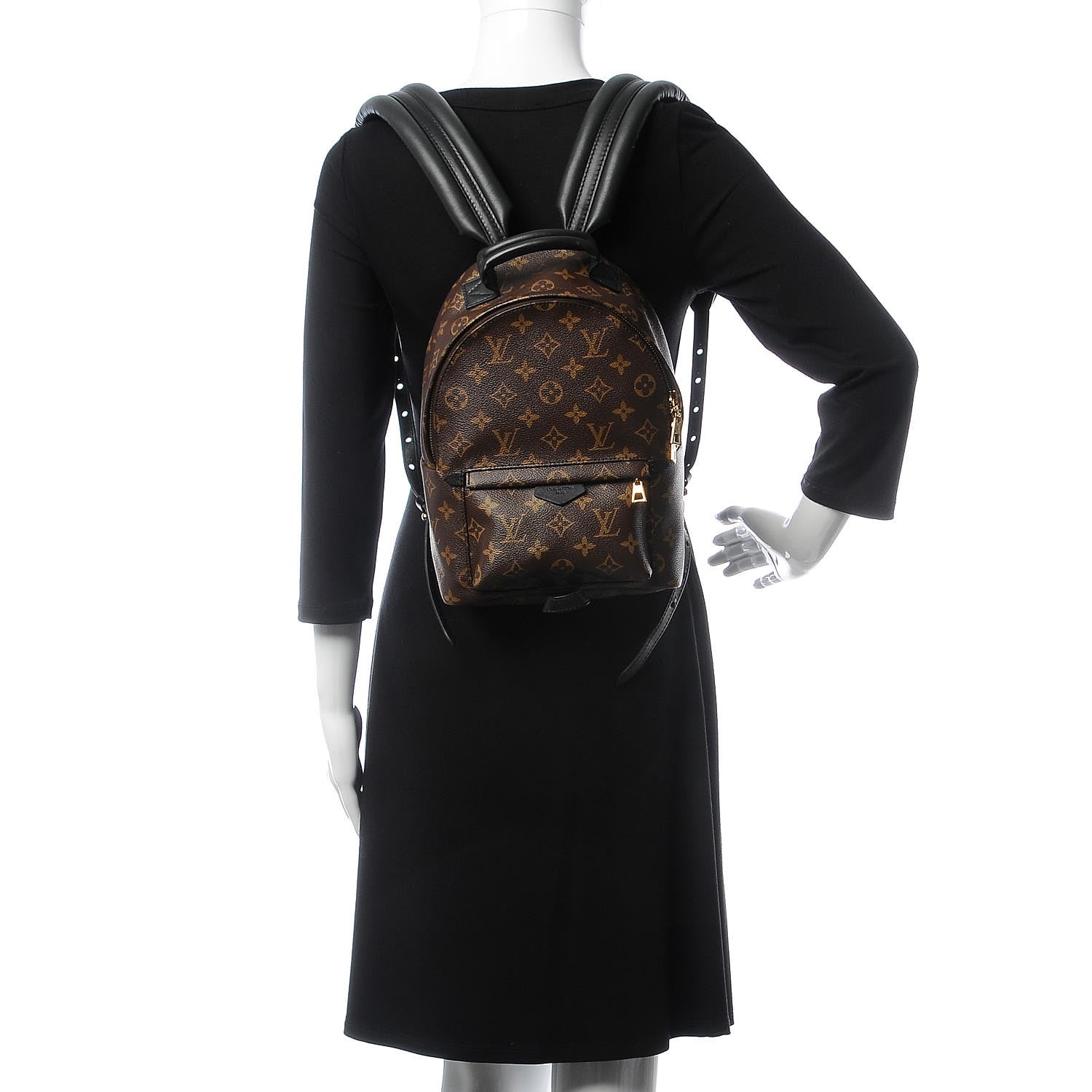 Louis Vuitton Monogram Palm Springs Backpack PM 2 of 8