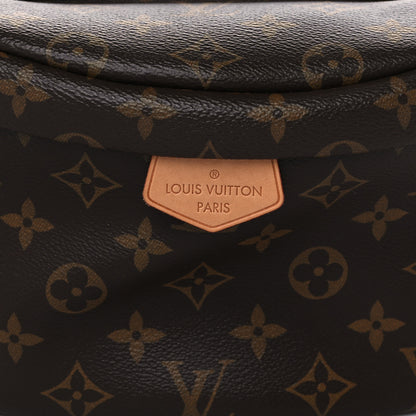 Louis Vuitton Monogram Bumbag 7 of 10