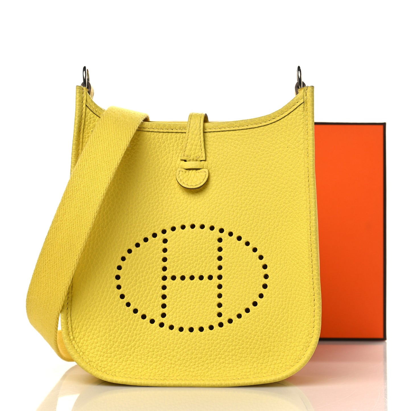 Taurillon Clemence Evelyne TPM Lime