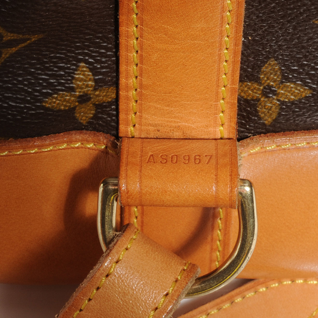 Monogram Randonnee PM