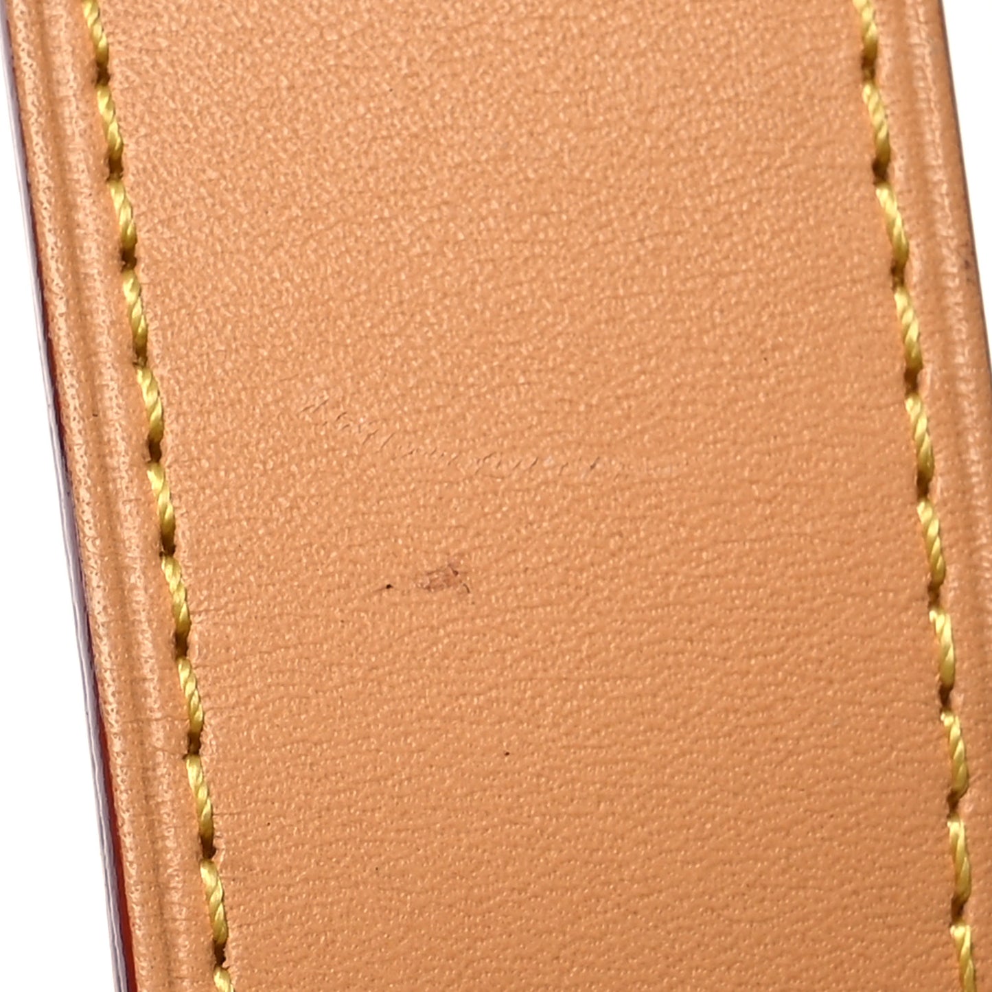 Monogram CarryAll PM