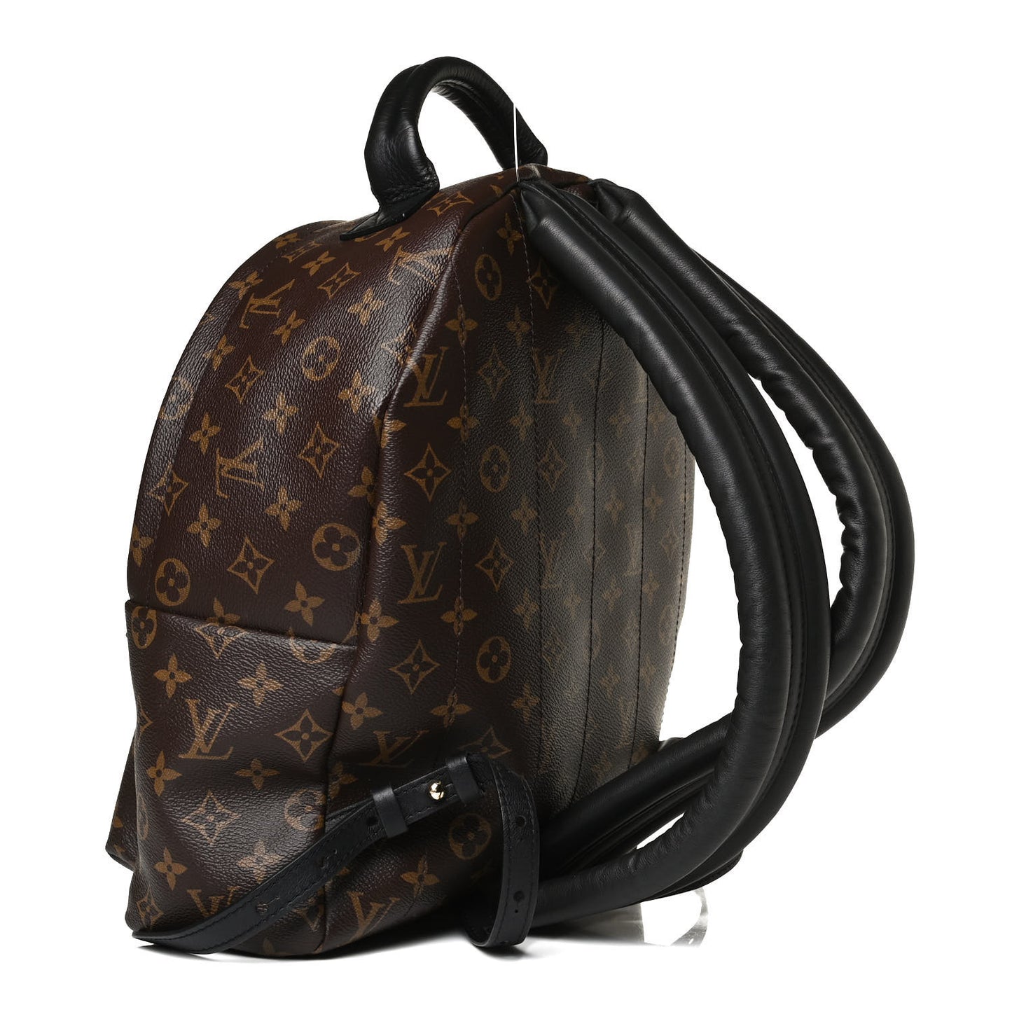 Monogram Palm Springs Backpack MM