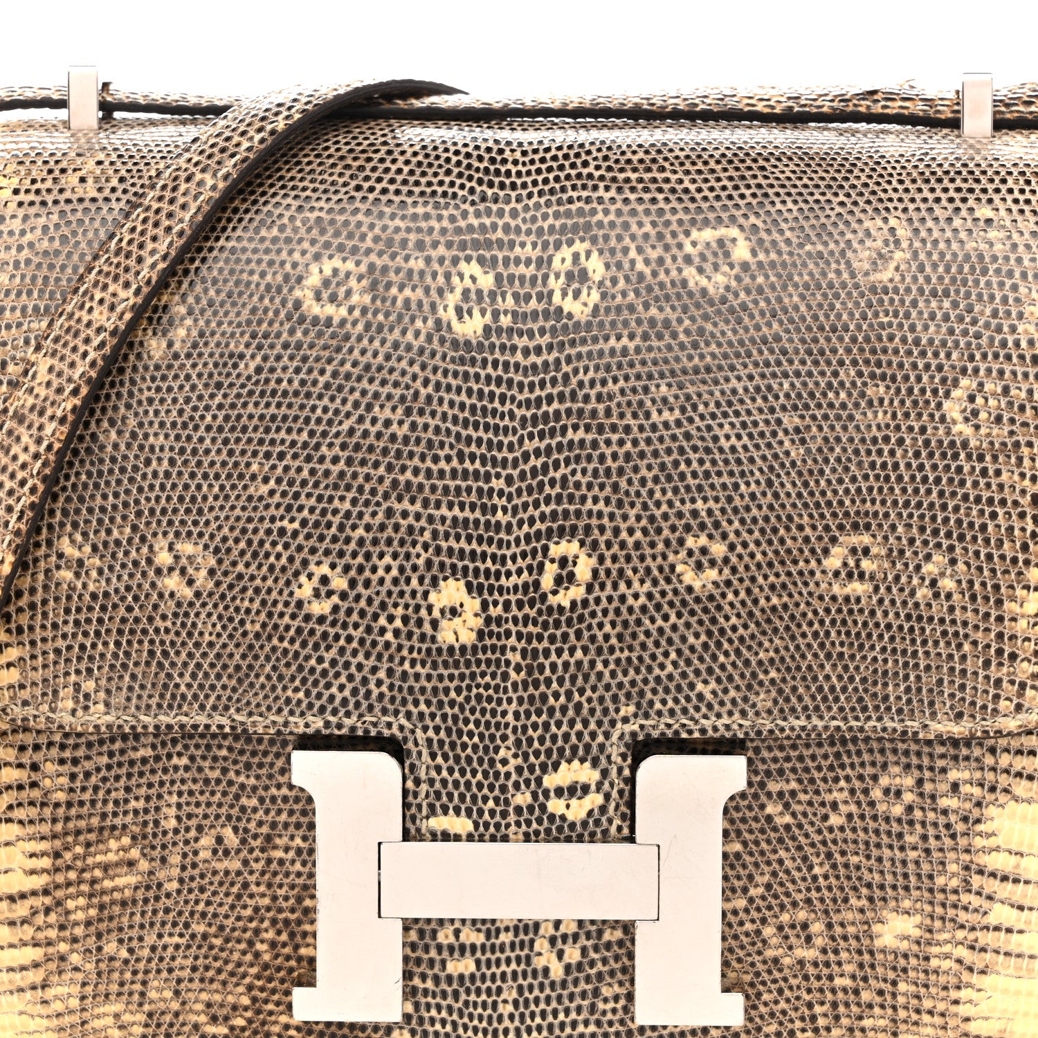 Hermes Lizard Constance 18 Ombre 8 of 15