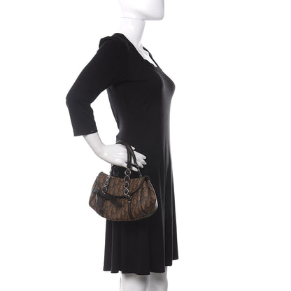 Christian Dior Monogram Romantique Trotter Bag Brown 2 of 16