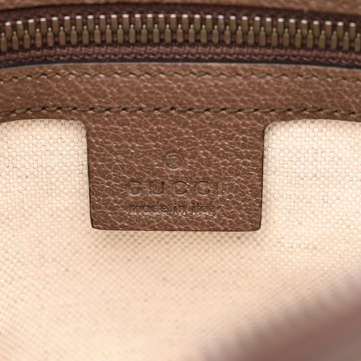 GG Supreme Monogram Web Small Ophidia Half Moon Hobo Brown