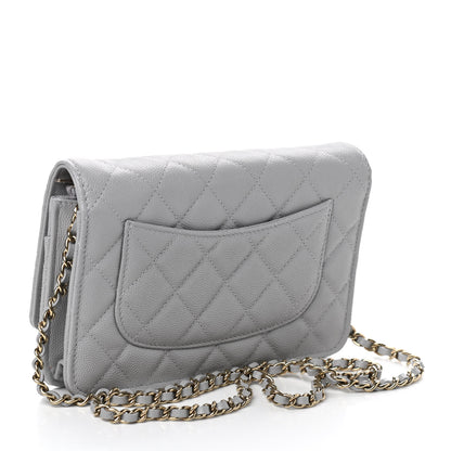 Chanel Caviar Quilted Wallet On Chain WOC Grey 3 of 11