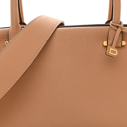 Delvaux Grained Bullskin Cool Box MM Vegetal Ivory 8 of 10