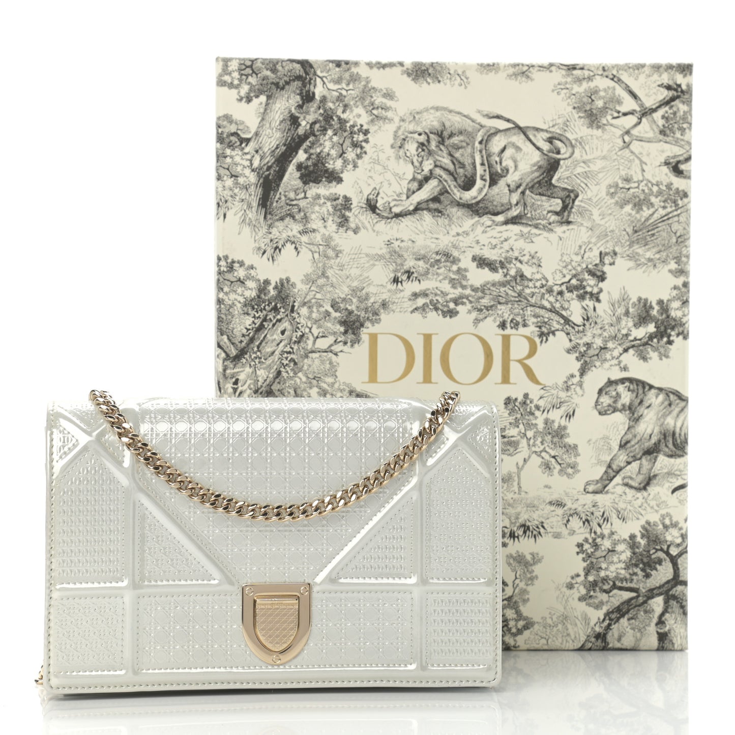 Patent Micro-Cannage Diorama Wallet on Chain Pouch White