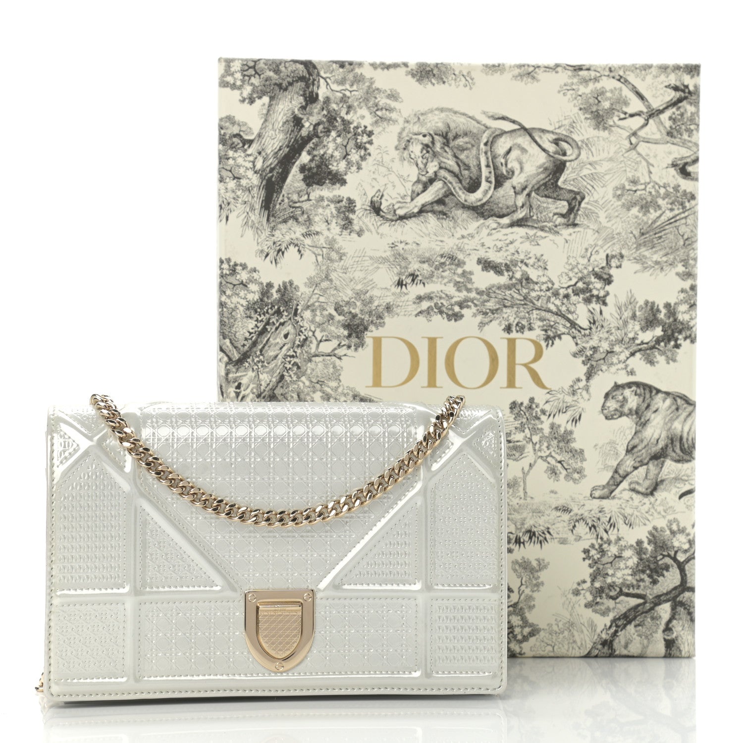 Christian Dior Patent Micro-Cannage Diorama Wallet on Chain Pouch White 13 of 13