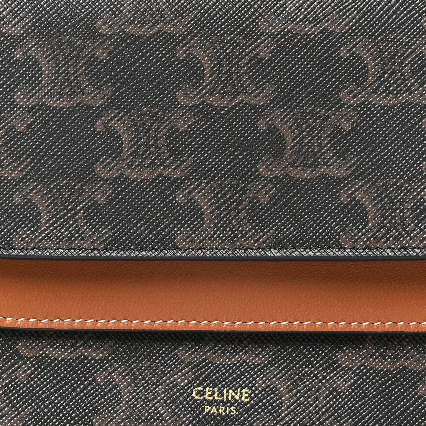 Triomphe Canvas Lambskin Wallet On Strap Tan