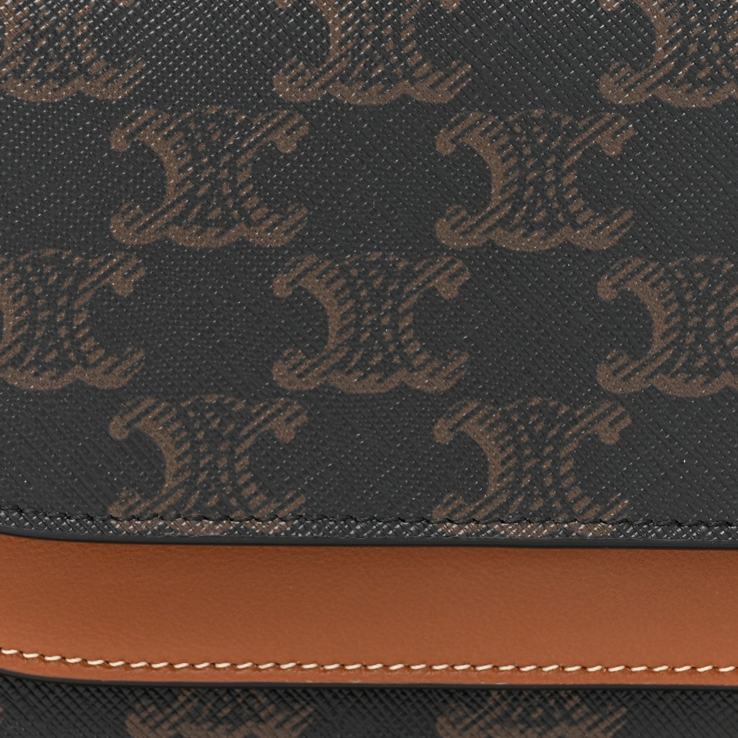 Triomphe Canvas Lambskin Wallet On Strap Tan