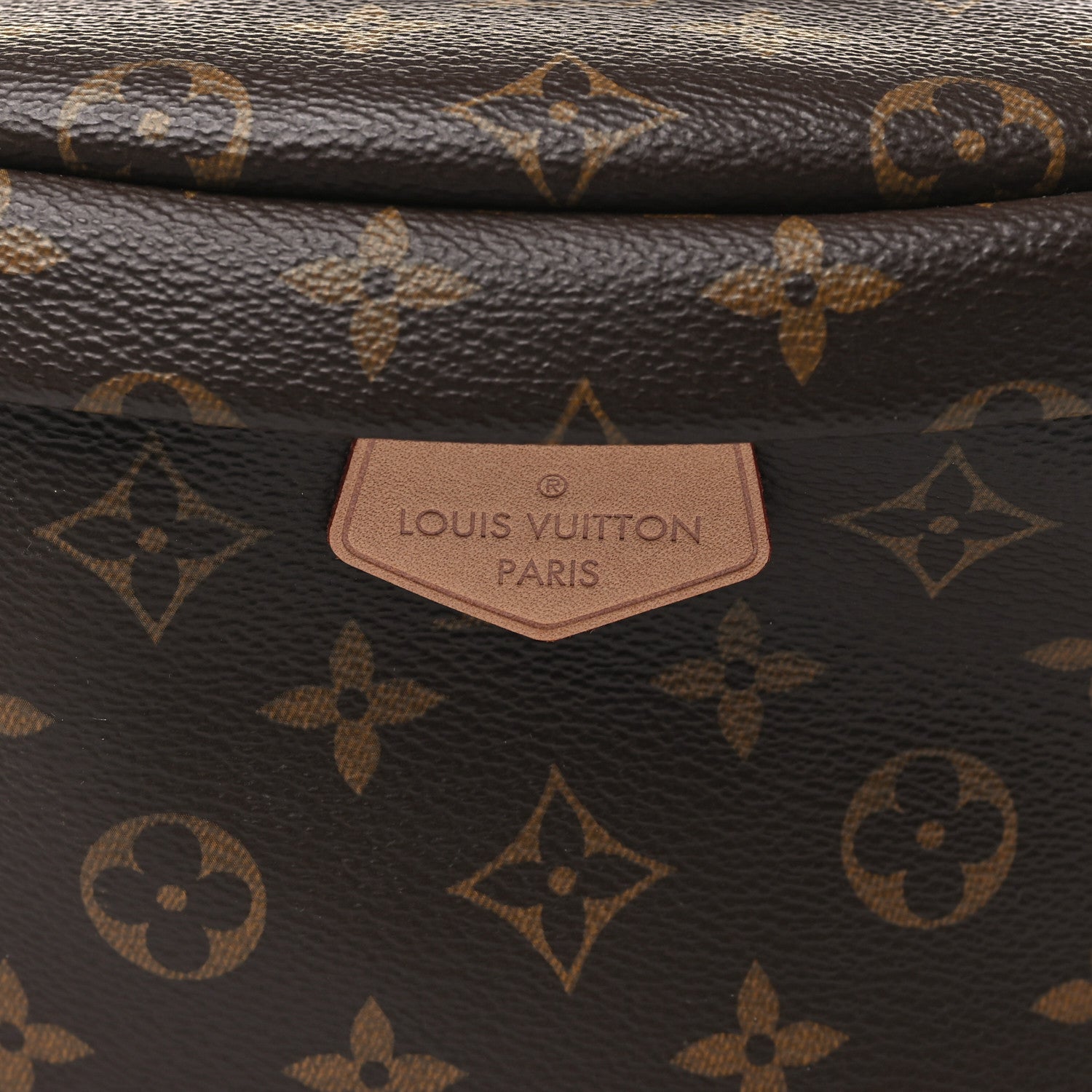 Louis Vuitton Monogram Bumbag 7 of 9