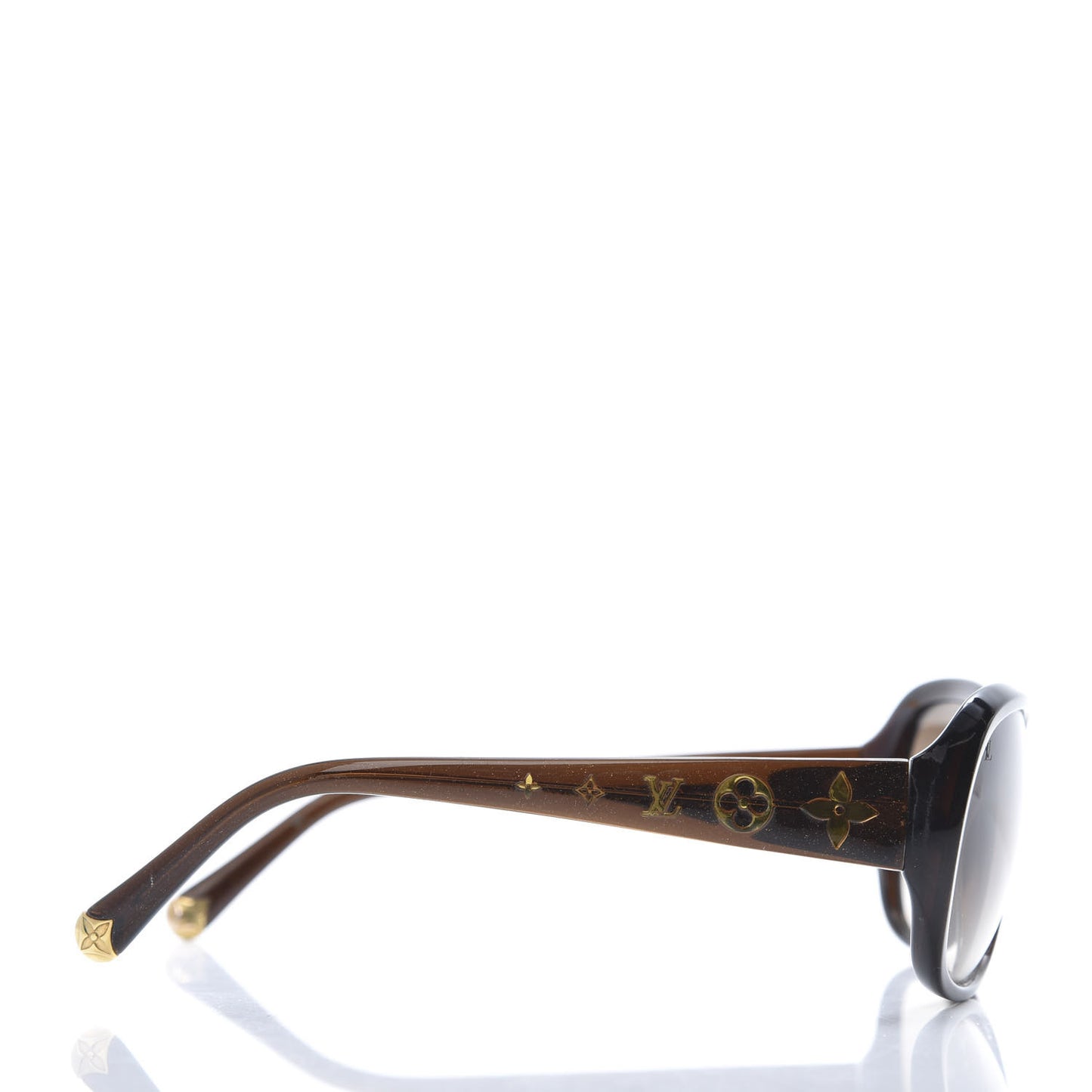 Acetate Obsession GM Sunglasses Z0459W Brown Glitter
