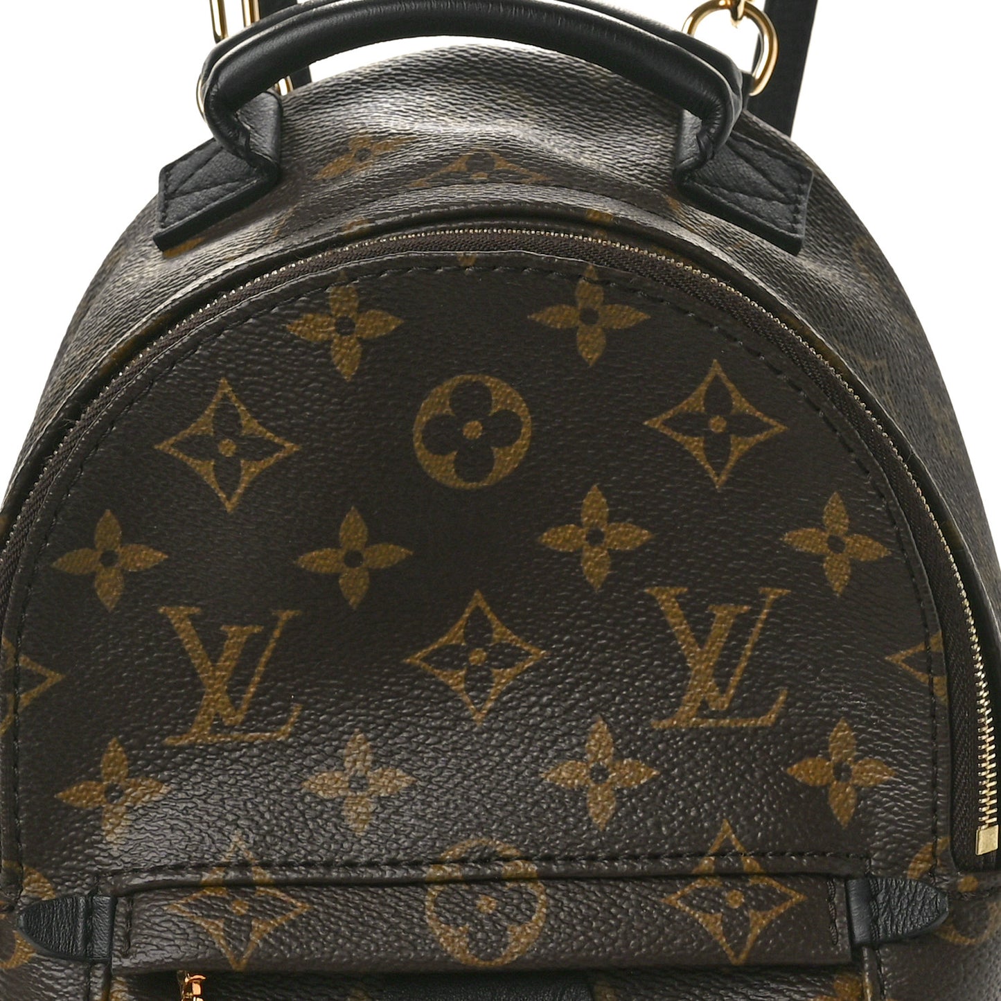 Monogram Palm Springs Backpack Mini