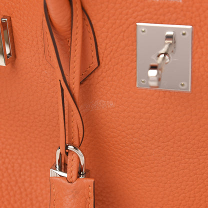Hermes Taurillon Clemence Birkin 30 Feu 9 of 13