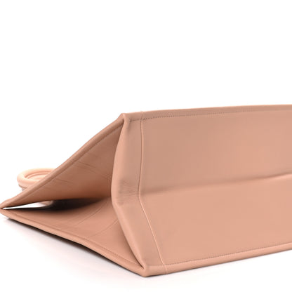 Christian Dior Calfskin Embossed Medium Book Tote Rose de Vents 8 of 9
