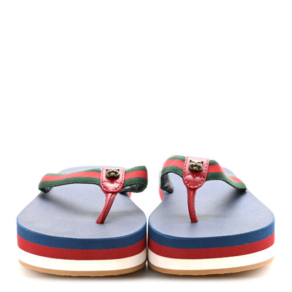 Gucci Canvas Web Platform Lifford Thong Sandals 36.5 Hibiscus Red 4 of 18