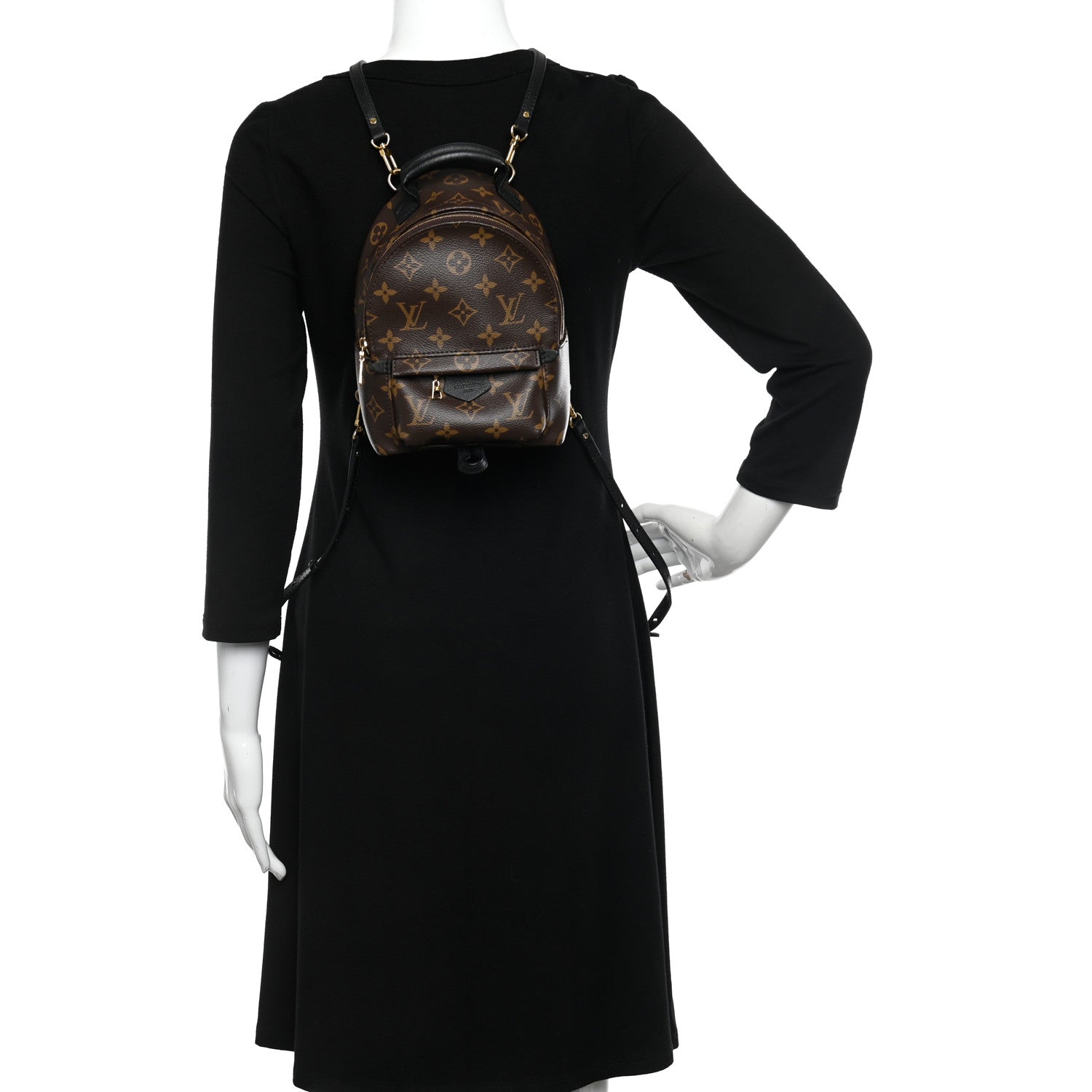 Louis Vuitton Monogram Palm Springs Backpack Mini 2 of 10