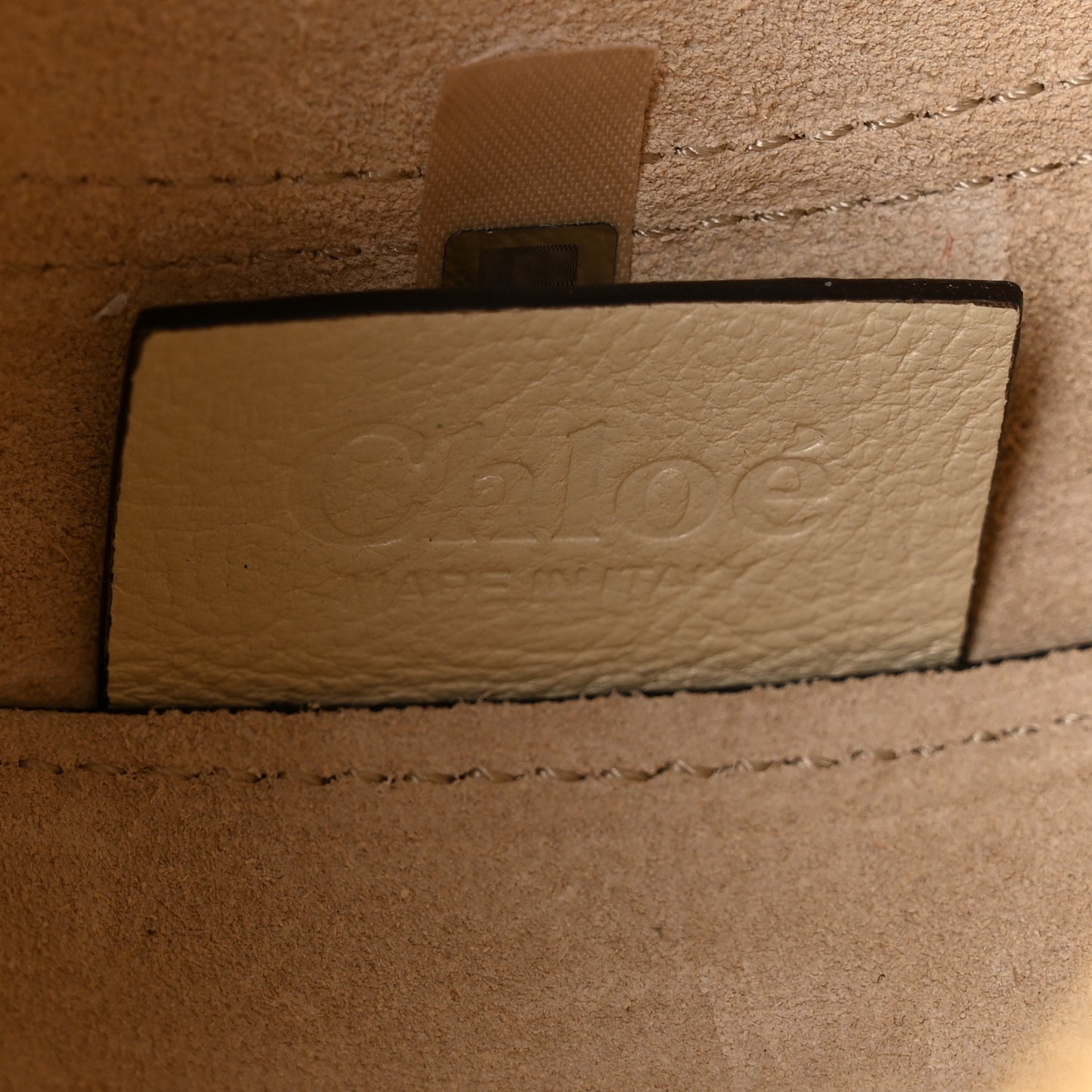 Grained Calfskin Banana Crossbody Bag Vegetal Beige