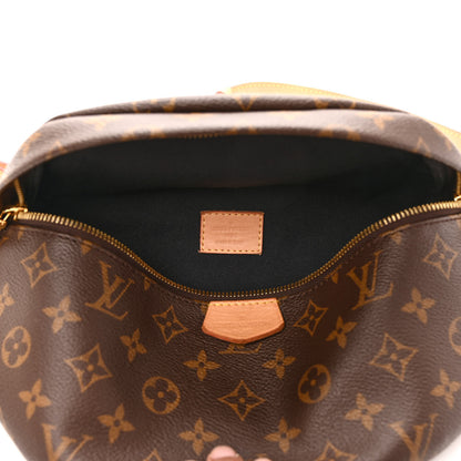 Louis Vuitton Monogram Bumbag 5 of 11