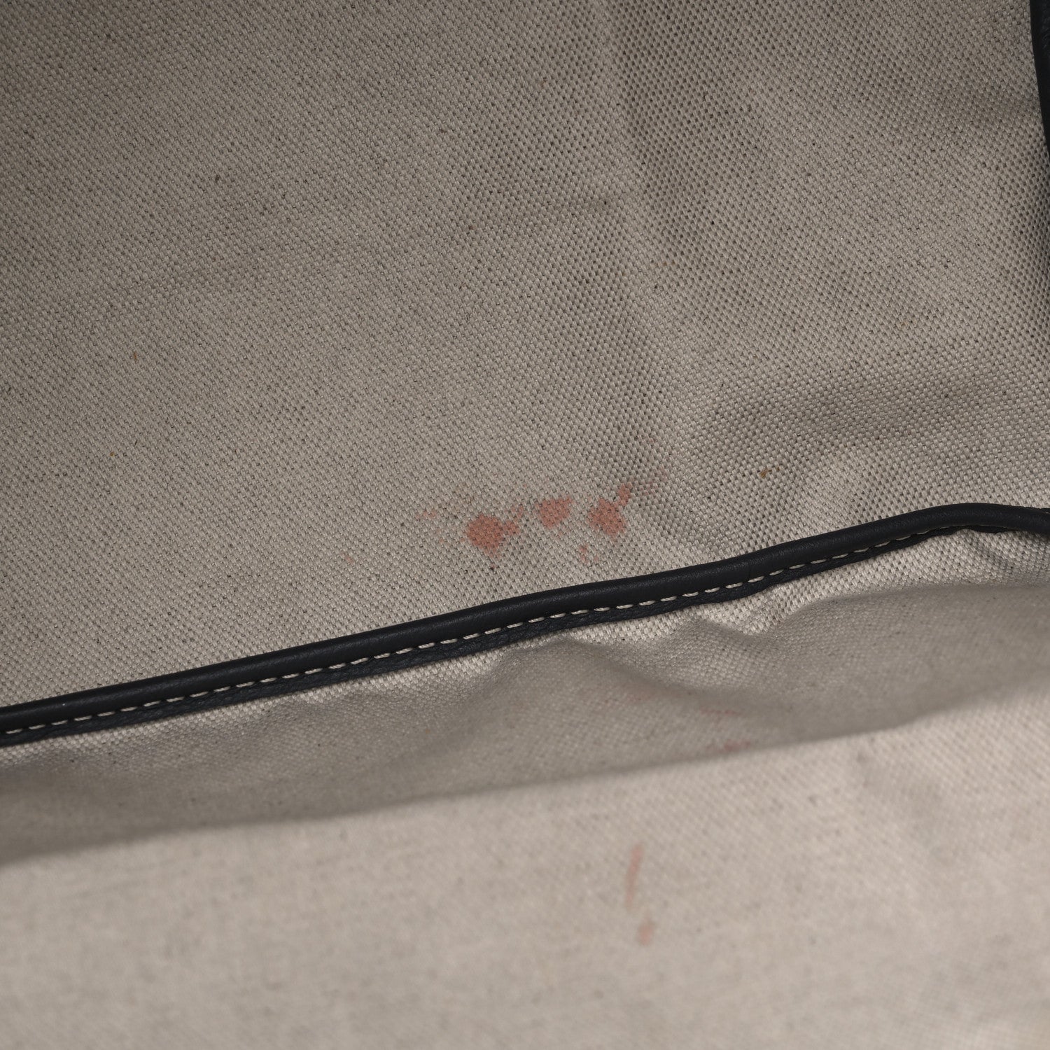 Goyard Goyardine Saint Louis PM Grey 10 of 10