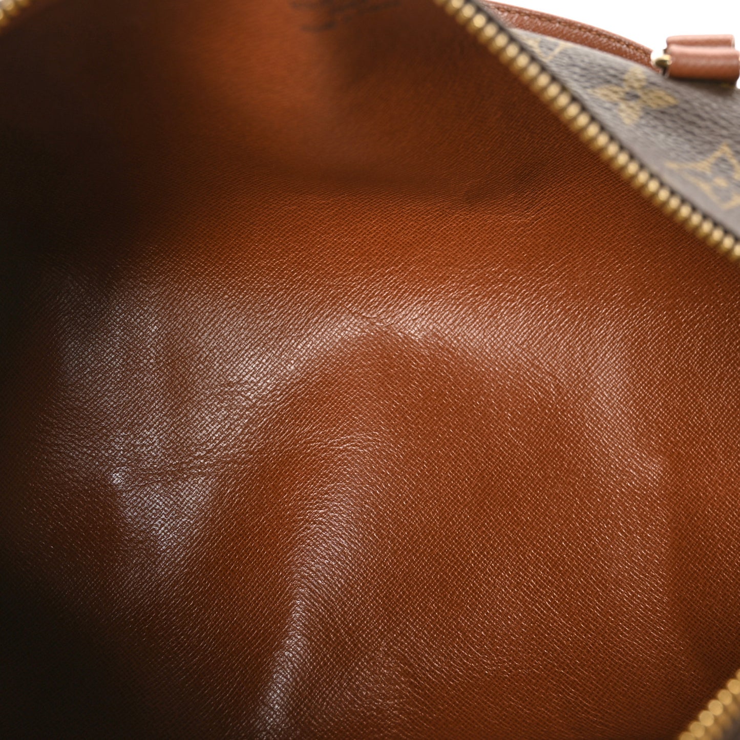 Monogram Papillon 30 With Companion
