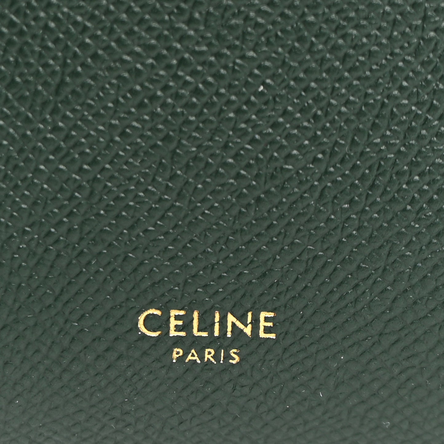 Grained Calfskin Nano Belt Bag Amazone