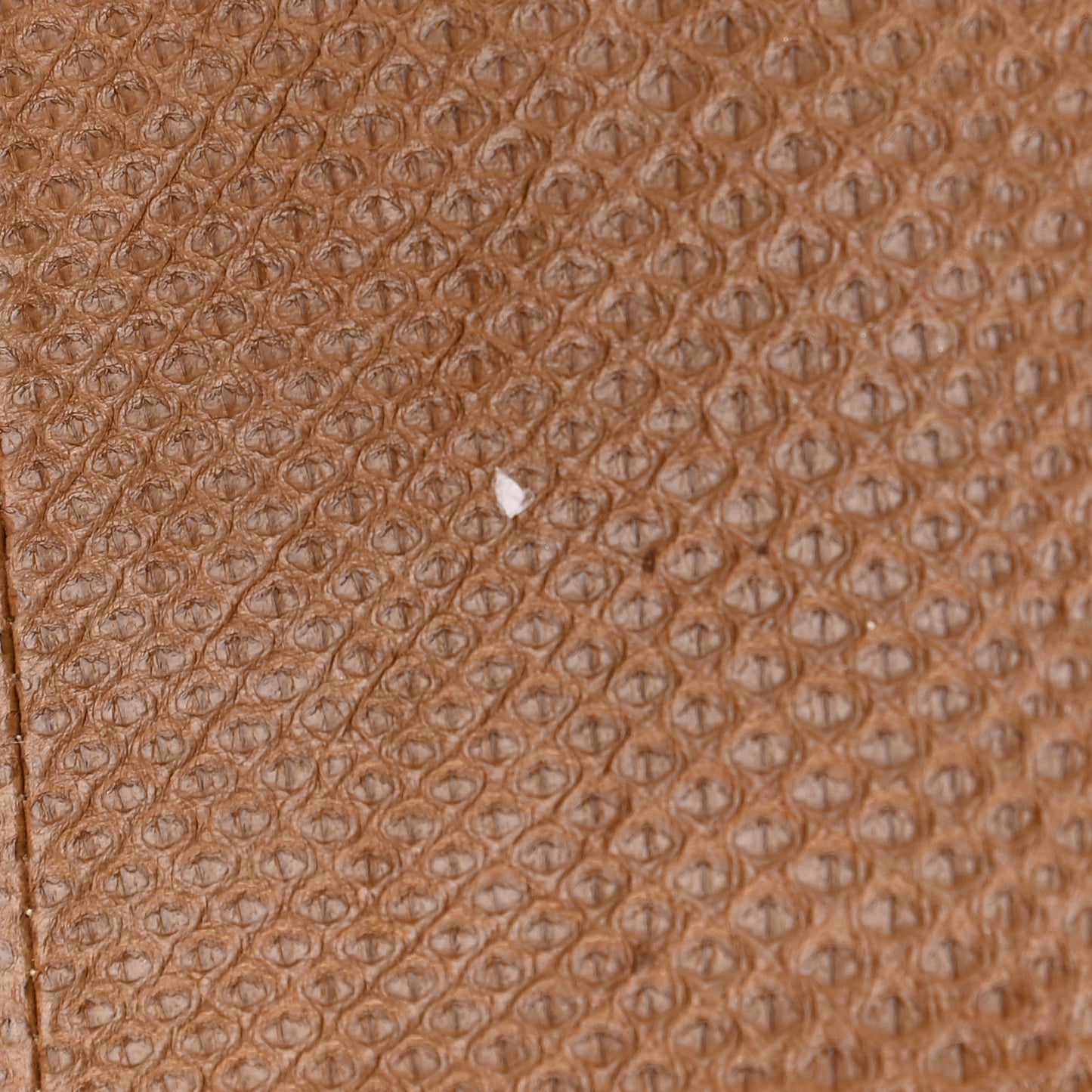 Lizard Wallet Brown