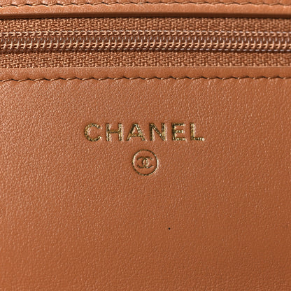 Chanel Lambskin Quilted Chanel 19 Wallet On Chain WOC Brown 6 of 12