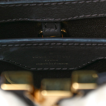 Louis Vuitton Mink Calfskin Capucines BB Brown 7 of 15