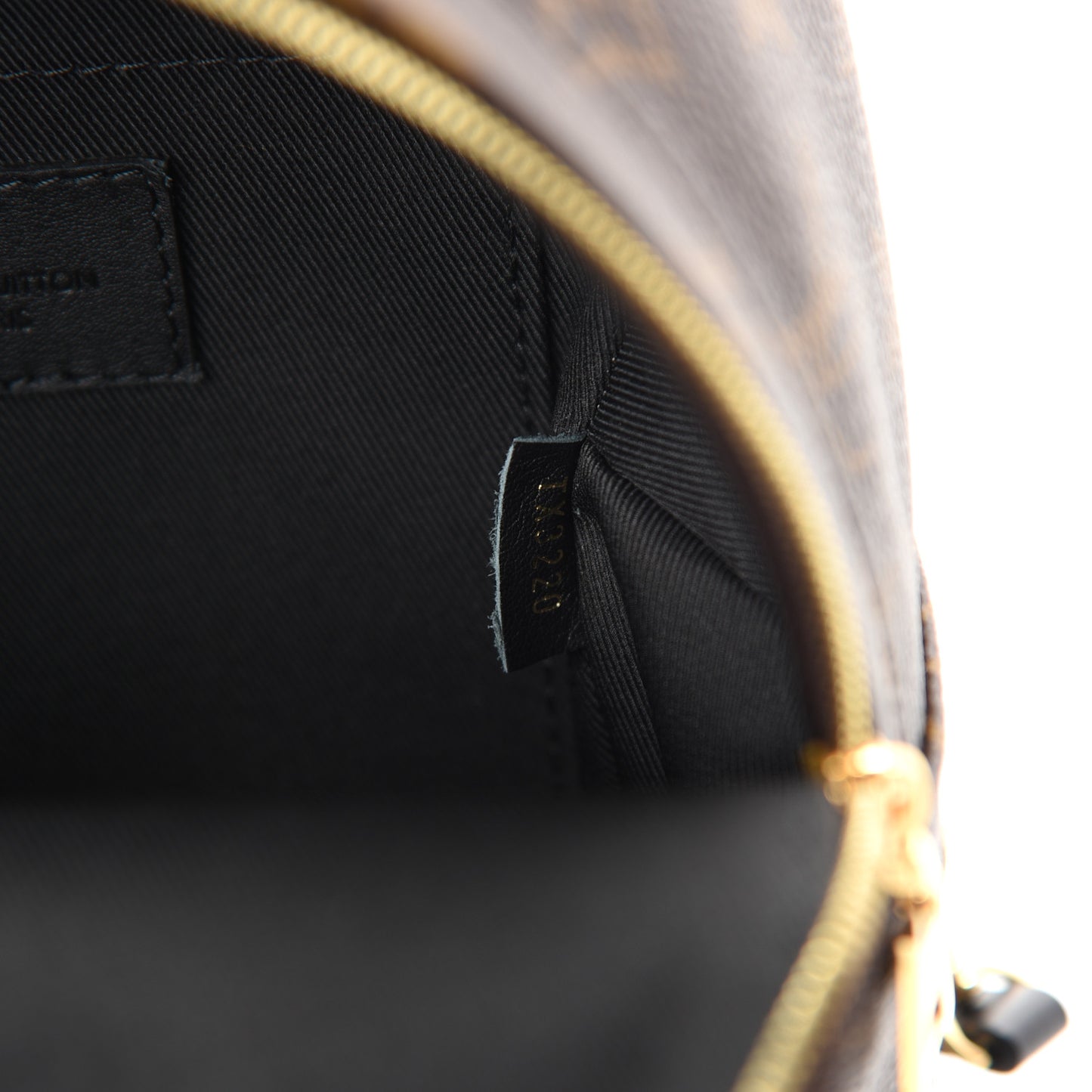 Monogram Palm Springs Backpack Mini