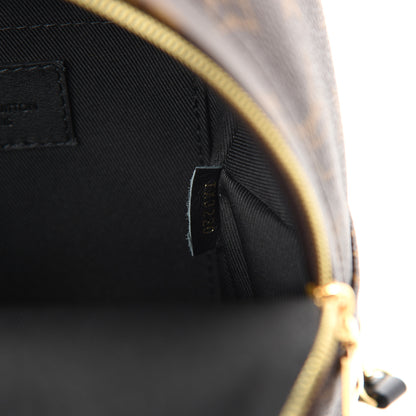 Louis Vuitton Monogram Palm Springs Backpack Mini 8 of 10