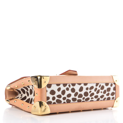Louis Vuitton Monogram Multicolor Dalmatian Sac Rabat 5 of 14