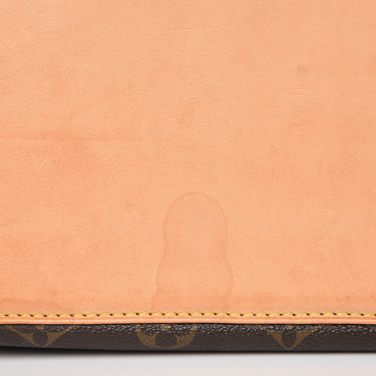 Monogram Cabas Mezzo