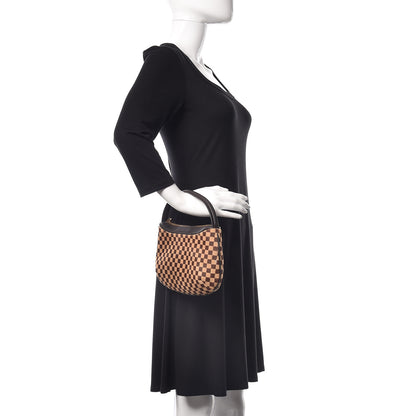 Louis Vuitton Calf Hair Damier Sauvage Tigre 2 of 8