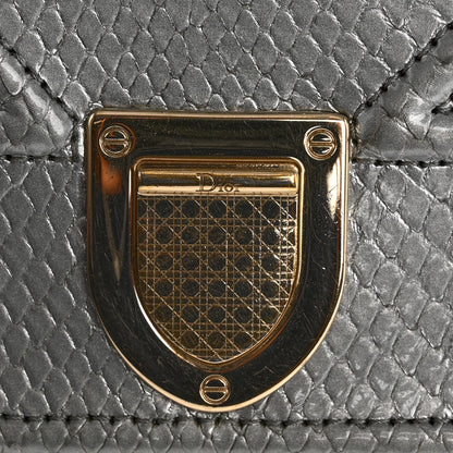 Christian Dior Snakeskin Diorama Wallet on Chain Pouch Silver 13 of 18