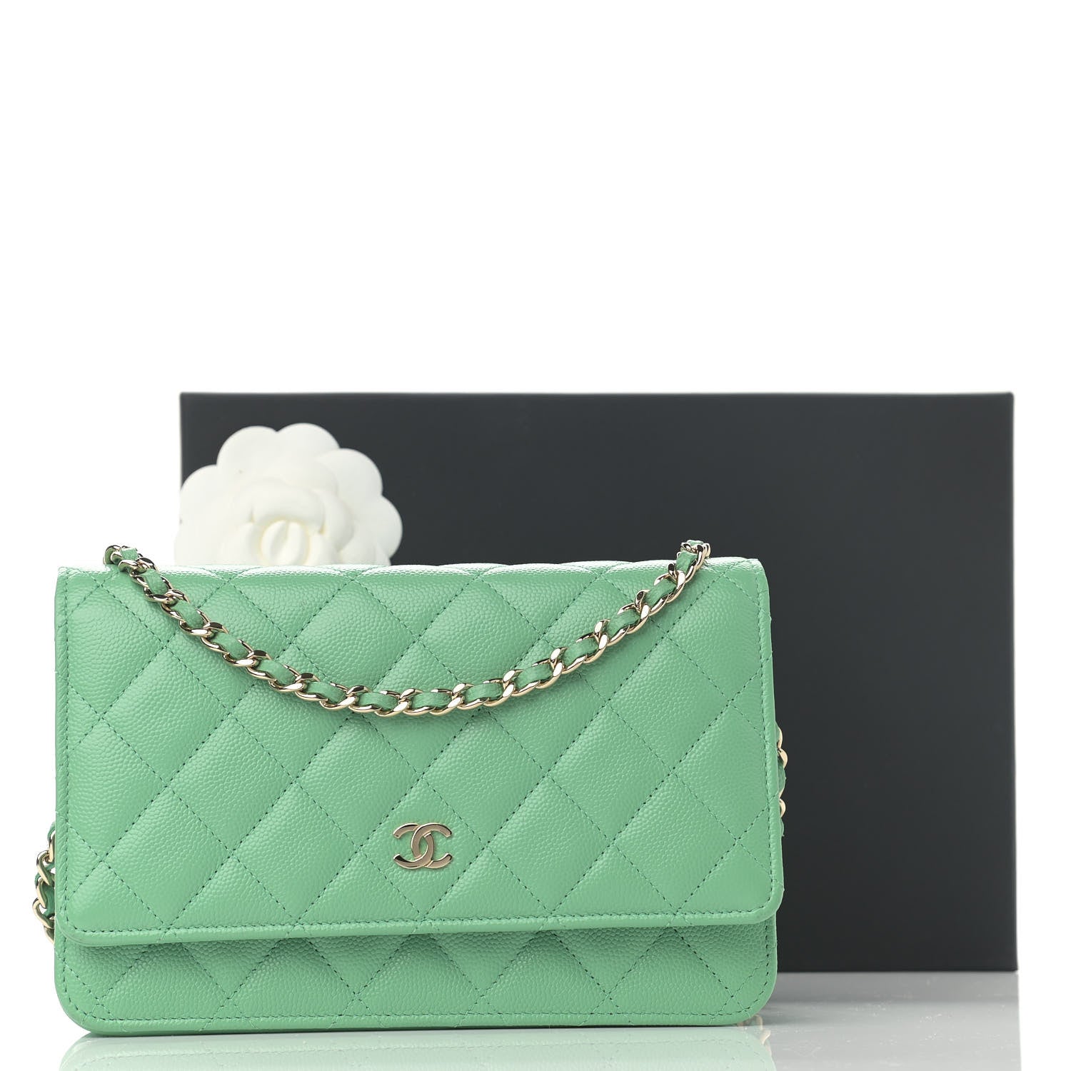 Chanel Caviar Quilted Wallet On Chain WOC Light Green 13 of 13