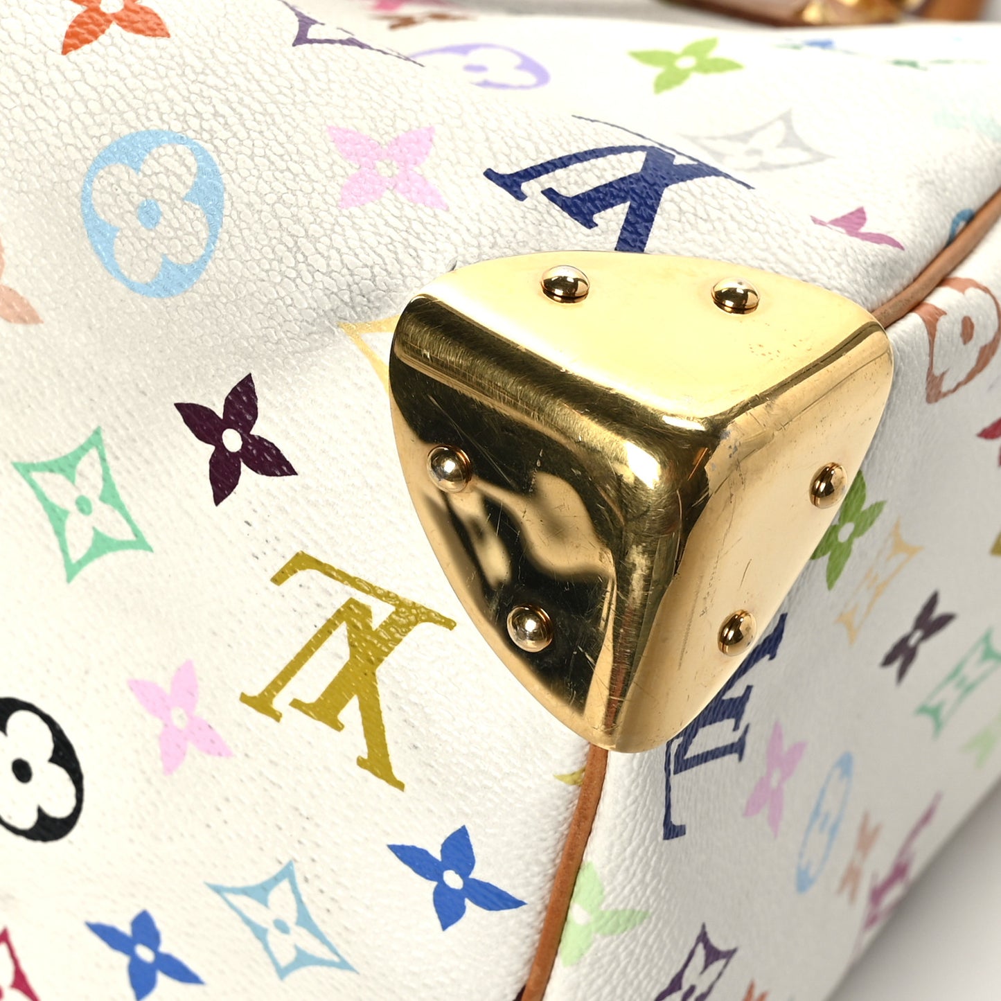 Monogram Multicolor Speedy 30 White