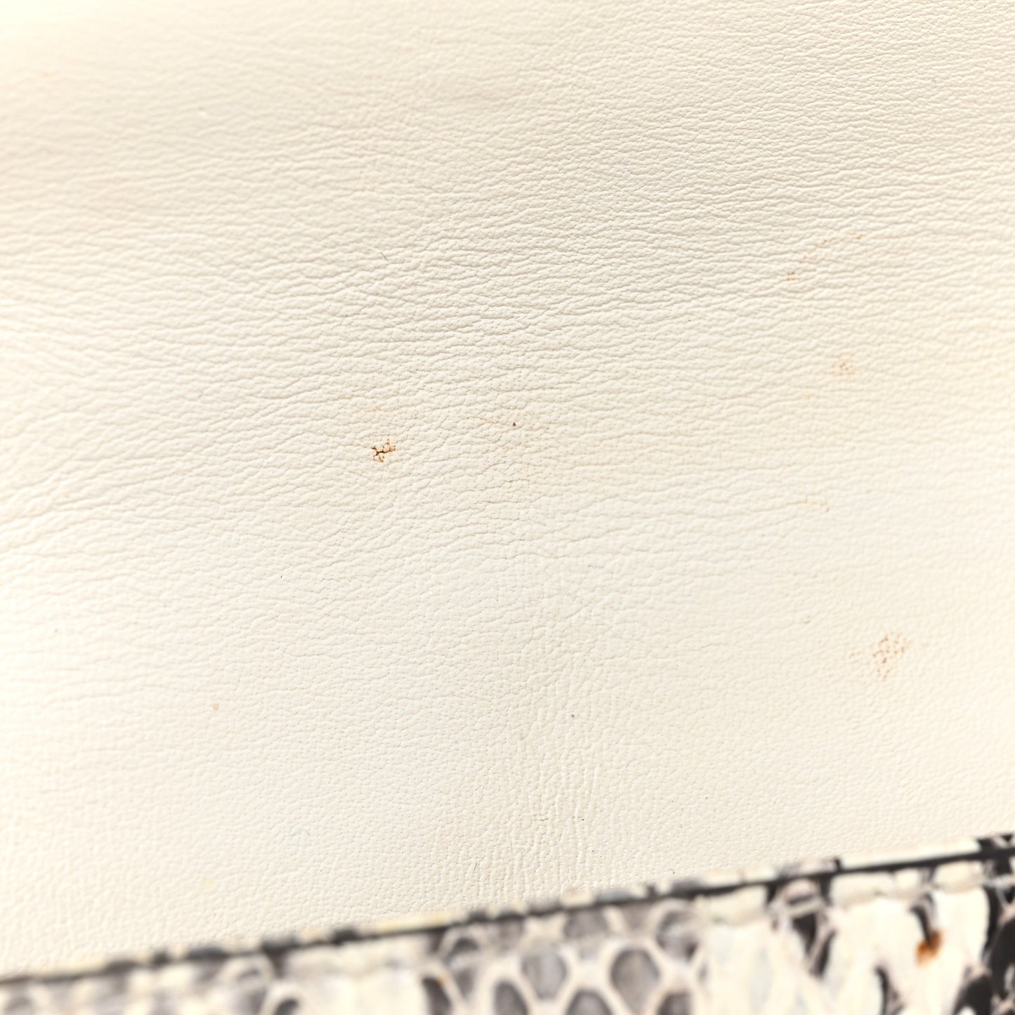 Snakeskin Rebel Crossbody Bag Black