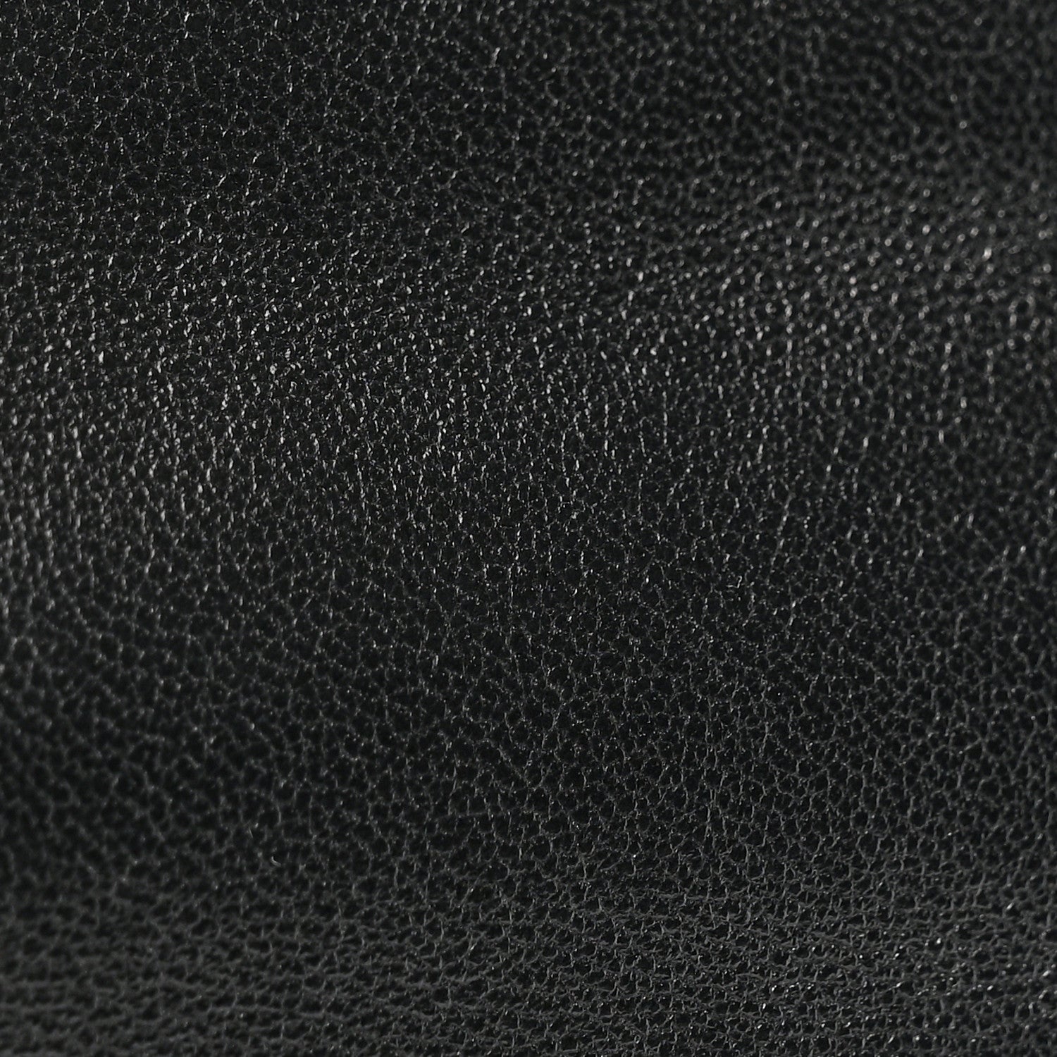 Chanel Lambskin Quilted Chanel 19 Wallet On Chain WOC Black 12 of 13