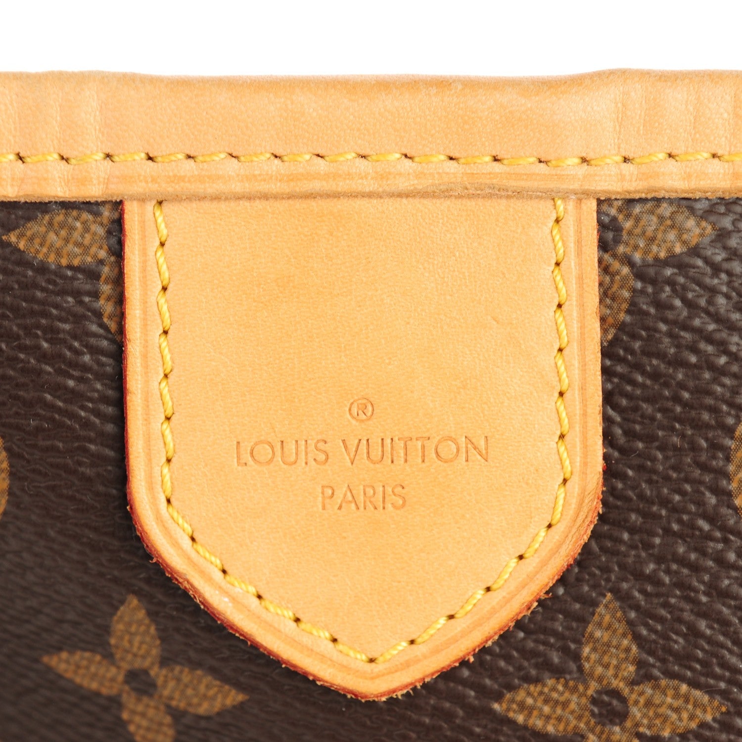 Louis Vuitton Monogram Delightful PM 8 of 21