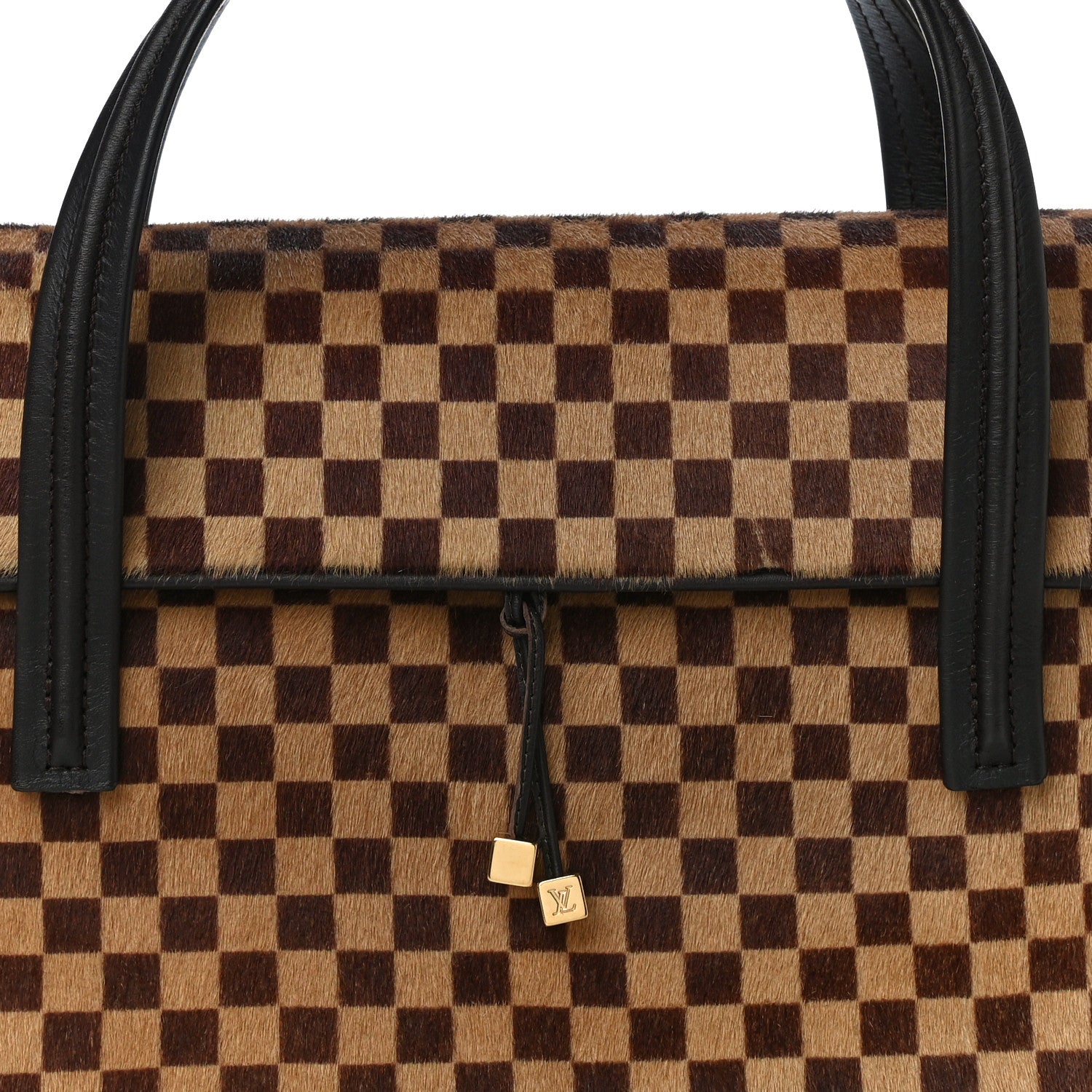 Louis Vuitton Damier Calf Hair Sauvage Lionne 7 of 9