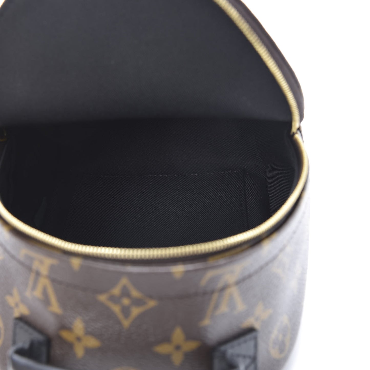 Monogram Palm Springs Backpack Mini