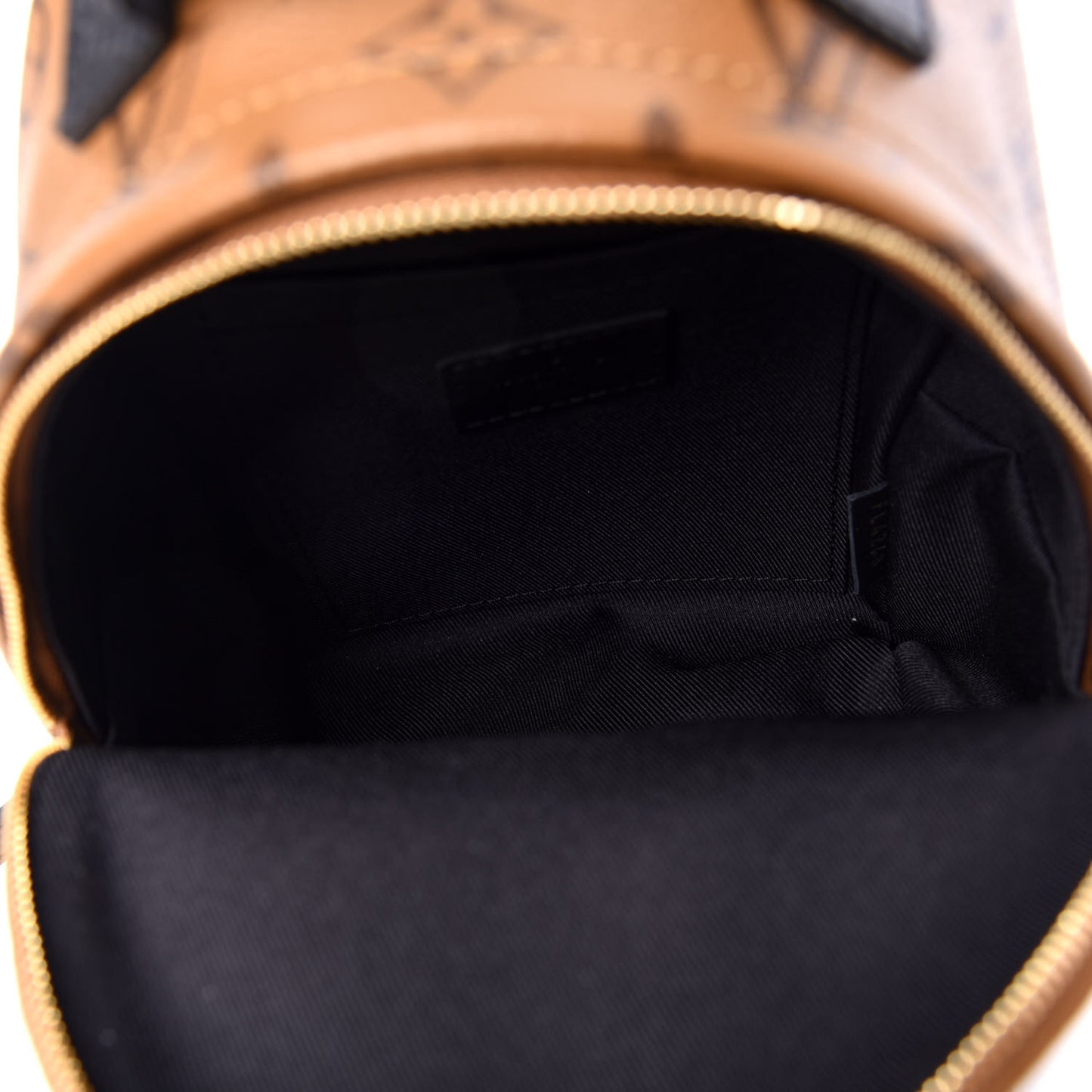 Reverse Monogram Palm Springs Backpack Mini